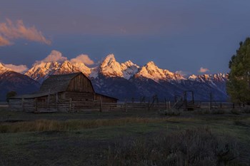 Moulton Barn At Sunrise by Galloimages Online art print