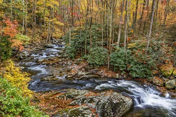 Tremont Stream by Galloimages Online art print