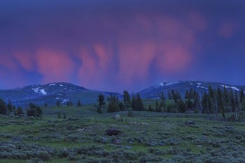 YNP Sunset by Galloimages Online art print