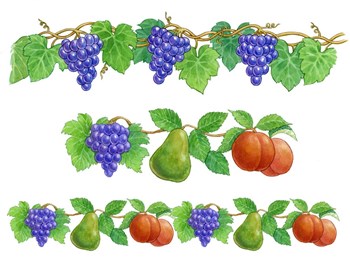 Grapes and Fruit borders by Geraldine Aikman art print