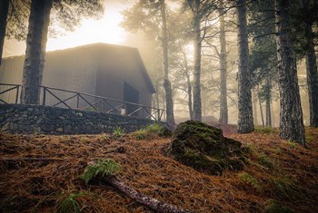 Fog by Giuseppe Torre art print