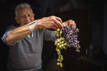 Pride by Giuseppe Torre art print