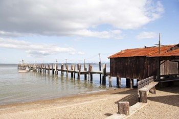 China Camp Pier by Lance Kuehne art print