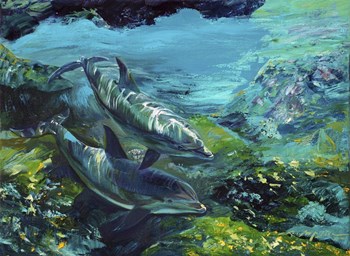 Tranquility Atlantic Bottlenose Dolphins by Lucy P. McTier art print