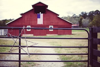 American Barn by Marcus Jules art print