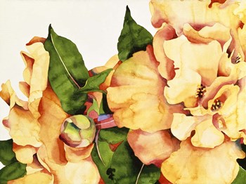 Orange Blossom by Mary Russel art print