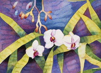 Water Orchids by Mary Russel art print