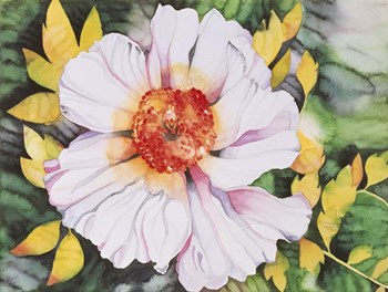 New Poppy by Mary Russel art print