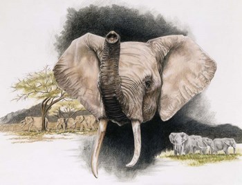 Imperiled by Barbara Keith art print