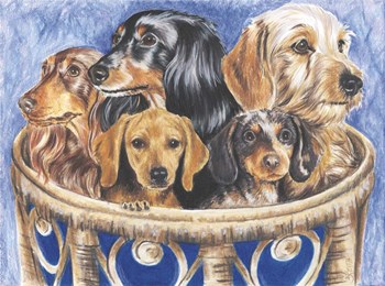 Dachsund In A Basket by Barbara Keith art print