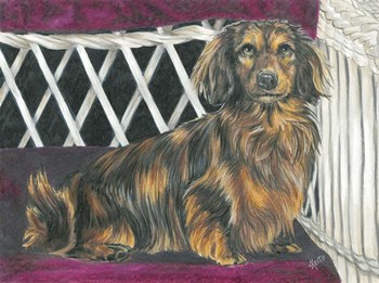 Dachsund In Wicker Chair by Barbara Keith art print
