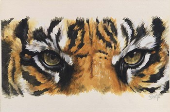 Eye-Catching Tiger by Barbara Keith art print