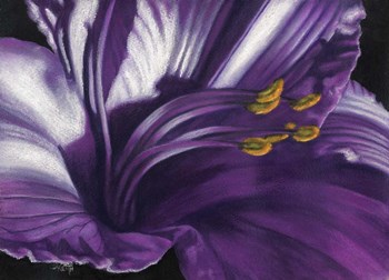 Amethyst by Barbara Keith art print