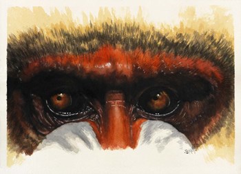 Eye-Catching by Barbara Keith art print