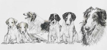 Growing Up Borzoi by Barbara Keith art print