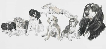 Growing Up Saluki by Barbara Keith art print