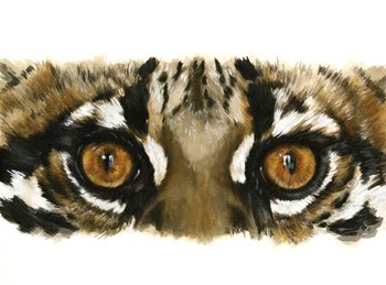 Eye Catching Ocelot by Barbara Keith art print