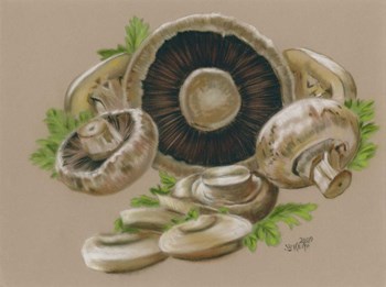 Mushrooms by Barbara Keith art print
