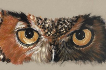 Great Horned Owl by Barbara Keith art print