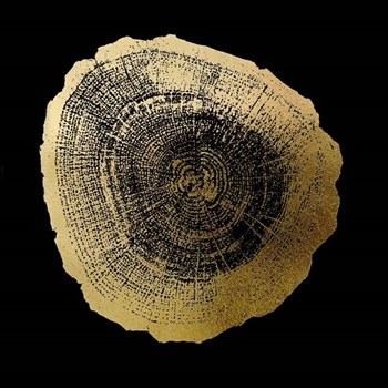 Gold Foil Tree Ring IV on Black by Vision Studio art print