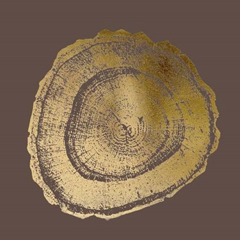 Gold Foil Tree Ring III on Bitter Chocolate by Vision Studio art print