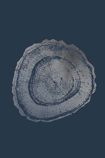 Silver Foil Tree Ring III on Cobalt by Vision Studio art print