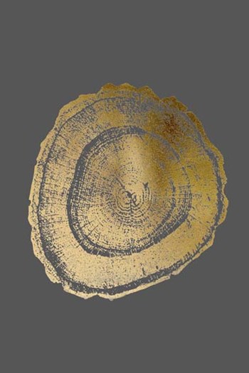 Gold Foil Tree Ring III on Dark Grey by Vision Studio art print