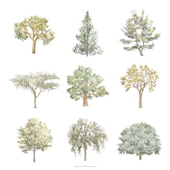 Tree Varieties I by Megan Meagher art print