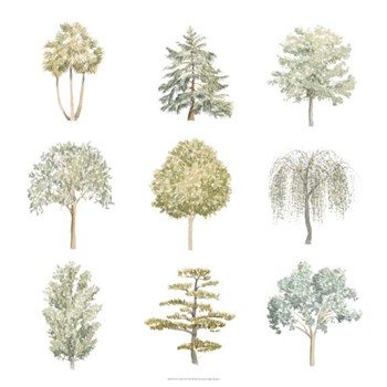 Tree Varieties II by Megan Meagher art print