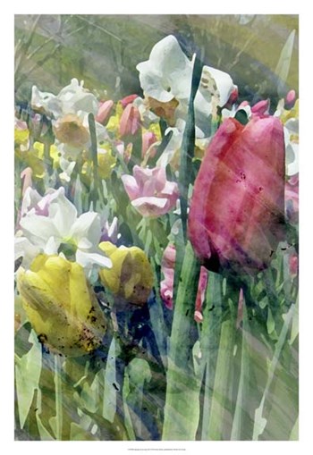 Spring at Giverny III by Pam Ilosky art print