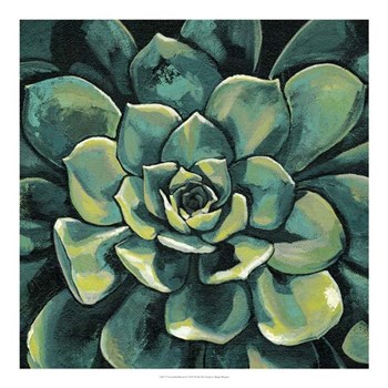 Succulent Bloom I by Megan Meagher art print