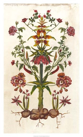 Botanical Hybrid I by Naomi McCavitt art print