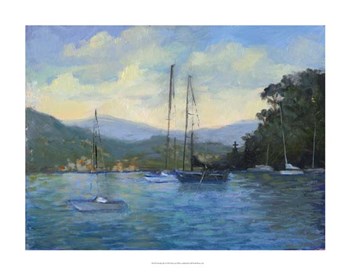 Portofino Bay by Mary Jean Weber art print