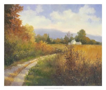 Autumn Country Road by Mary Jean Weber art print