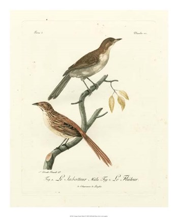 Antique French Birds I by de Langlois art print