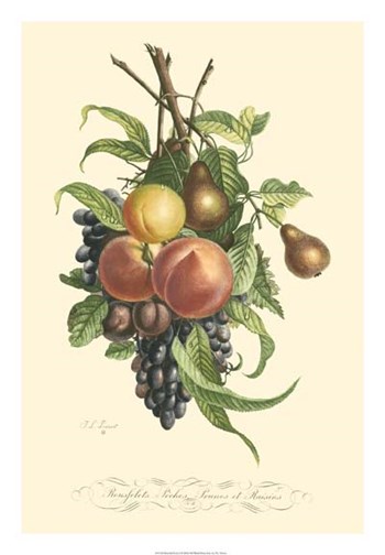 Plentiful Fruits I by T.L. Prevost art print