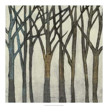 Birch Line II by Jennifer Goldberger art print