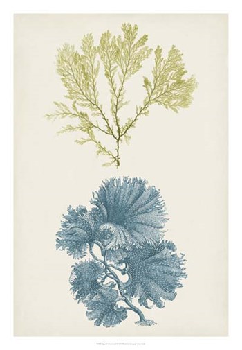 Aqua &amp; Citron Coral I by Vision Studio art print