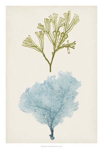 Aqua &amp; Citron Coral II by Vision Studio art print