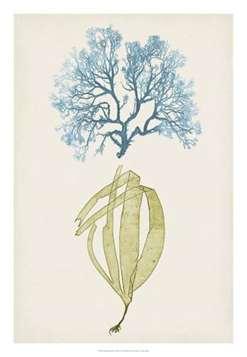 Aqua &amp; Citron Coral IV by Vision Studio art print