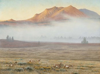 Mackenzie Passage by Michael Budden art print