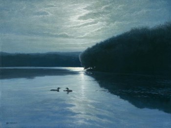 Moonlight Loons by Michael Budden art print