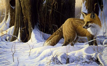 Hide And Seek by Michael Budden art print