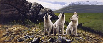 Three Wolves by Michael Budden art print