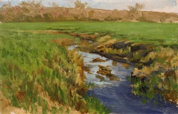 Spring Fields by Michael Budden art print