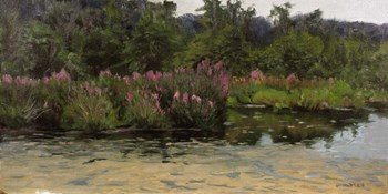 Purple Lustrife - Townsend's Pond by Michael Budden art print