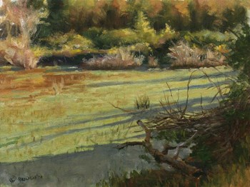Pond Shadows by Michael Budden art print