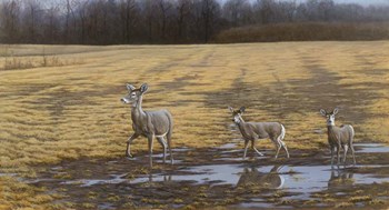 A Sense Of Danger by Michael Budden art print