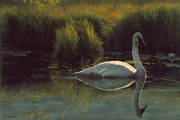Reflections Of Grace by Michael Budden art print