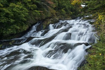 Nikko 4 by Michael de Guzman art print